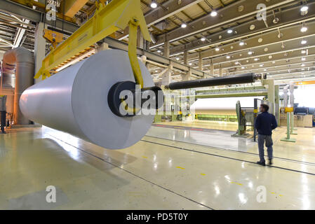 Grande rotolo di carta su una gru in un mulino per la produzione di carta per ulteriore elaborazione in un impianto di stampa - riciclaggio di rifiuti di carta Foto Stock