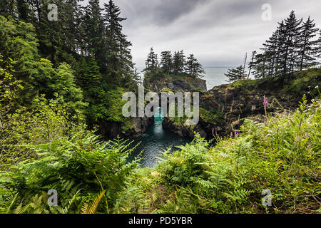 Samuel H. Boardman Scenic corridoio Foto Stock