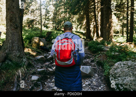 Uomo con zaino a piedi una fitta foresta. Viaggiare con lo zaino in spalla e il concetto di stile di vita Foto Stock