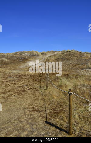 Vista di recinzioni protettive sulle dune di sabbia a Winterton-on-Sea, Norfolk, Regno Unito Foto Stock
