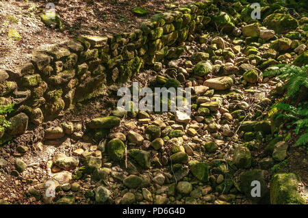 Sassoso letto del fiume. Assenza di acqua Foto Stock