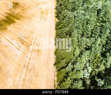 Immagine astratta del raccolto di un campo di grano, diviso in corrispondenza di un limite della foresta, nel mezzo. Foto Stock