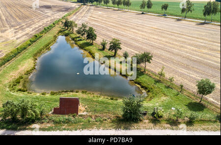 Vista aerea di un piccolo stagno per la pesca tra i campi di raccolta di una fattoria, con una fila di alberi e le pecore nere. Foto Stock