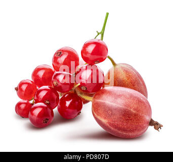 La raccolta di frutti di bosco freschi. Lampone, Ribes rosso, uva spina. Tracciato di ritaglio Foto Stock