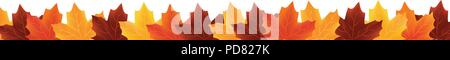 Confine di caduto foglie di autunno isolato su bianco Illustrazione Vettoriale