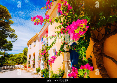 Magenta fuchsia fiori sul marciapiede in piccoli mediterraneo Assos village. Tradizionale casa greca sulla strada con grandi fiori di bouganville Foto Stock