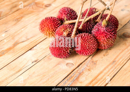 Il pulasan, Nephelium mutabile Blume (Famiglia Sapindaceae), è un frutto tropicale strettamente alleate per il rambutan e talvolta confusa con essa sulla woode Foto Stock