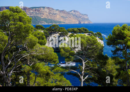 Il Corton Bay e il Capo Canaille, Cassis, Bouches-du-Rhône, Francia Foto Stock