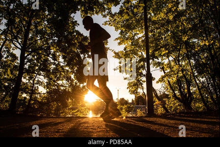 Berlino, Germania. 07 Ago, 2018. 07.08.2018, Berlin: contro il Rising Sun, il pareggiatore può essere visto solo come una silhouette sulle rive del fiume Sprea. Credito: Paolo Zinken/dpa/Alamy Live News Foto Stock