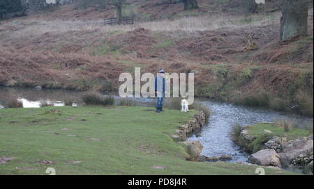 L'uomo con il cane dal fiume Foto Stock