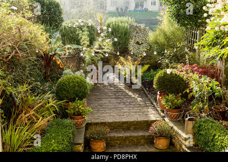 Hardy erbe, felci e siepe di bosso in giardino con ciottoli pietre pave Foto Stock