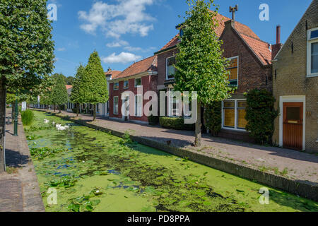 Canal con cigni nel vecchio villaggio di maasland, Paesi Bassi Foto Stock
