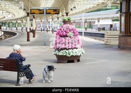 Signora in attesa per i treni in arrivo sat sul banco di lavoro con cane dentro vittoriana stazione ferroviaria in Wemyss Bay Regno Unito Foto Stock