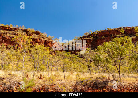 JUDBARRA PARCO NAZIONALE PRECEDENTEMENTE GREGORIO PARCO NAZIONALE DI TERRITORI DEL NORD, AUSTRALIA Foto Stock