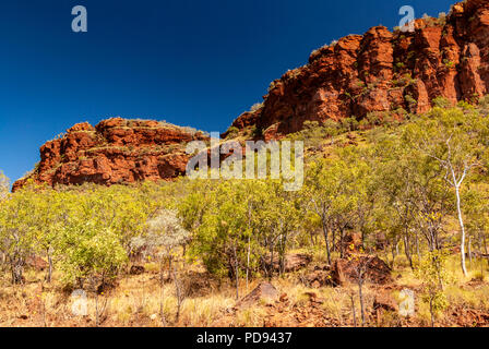 JUDBARRA PARCO NAZIONALE PRECEDENTEMENTE GREGORIO PARCO NAZIONALE DI TERRITORI DEL NORD, AUSTRALIA Foto Stock