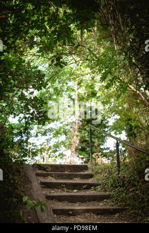 Northwood la strada di ingresso di Haringey il Parco a piedi un bellissimo viale alberato di riserva su una vecchia linea ferroviaria nel nord di Londra Foto Stock