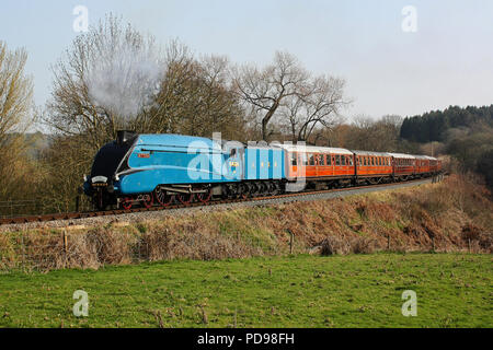 4464 Tarabuso passa Haye Bridge su SVR 24.3.12 Foto Stock