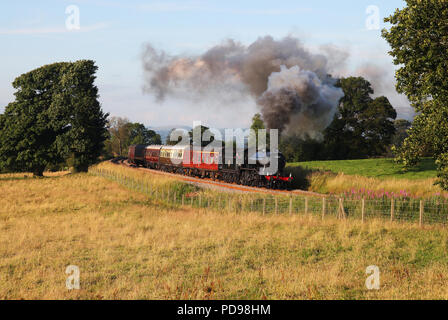 61994 capi fino Wilpshire bank su 8.8.12- Foto Stock