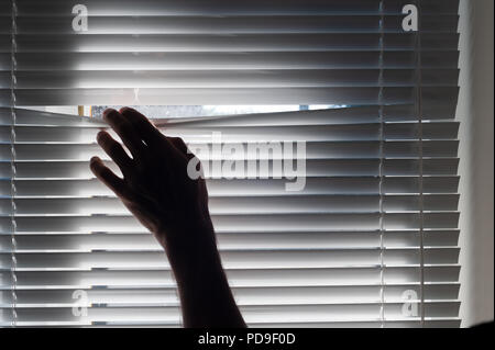 La paura dei visitatori o i chiamanti a freddo uomo di mezza età pigoli attraverso lo spazio di veneziane e guarda fuori per i ladri di cause di disturbo, agorafobia Foto Stock