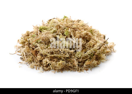 Pila di asciugare sphagnum moss isolato su bianco Foto Stock