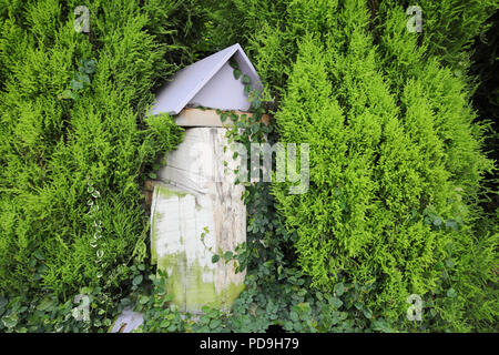 Bee Hive in naturale erba verde Foto Stock
