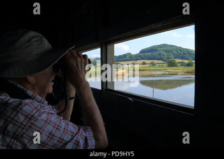 Osservazione degli uccelli all'interno dell'isola nascondere nel buco nero Marsh natura locale riserva nel Devon Foto Stock
