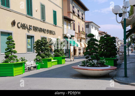 Forte dei Marmi, la Versilia, Toscana, Italia, Europa Foto Stock