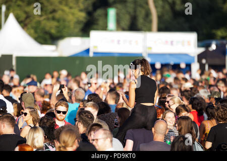 Folle immense godendo di un fantastico fine settimana di musica dal vivo presso il Liverpool International Music Festival 2018 in Sefton Park Liverpool Regno Unito. Foto Stock