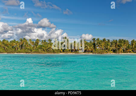 Sogno spiaggia spiaggia di sabbia con palme e il mare turchese, cielo nuvoloso, Parque Nacional del Este, isola Saona Island, dei Caraibi Foto Stock