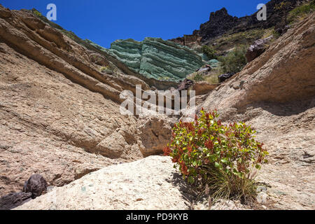 Turchesi strato di roccia los Azulejos De Veneguera, roccia vulcanica intrisa di sodio silicato di ferro, a Mogan, Gran Canaria Foto Stock