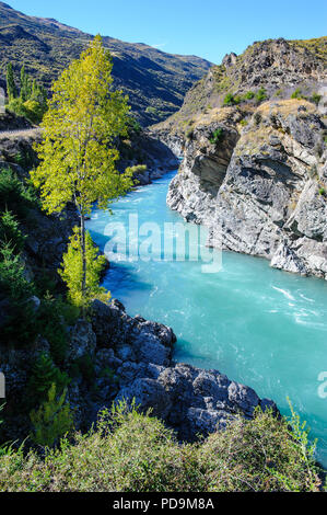 Acque turchesi di Kawarau River nella Gola di Kawarau, Isola del Sud, Nuova Zelanda Foto Stock