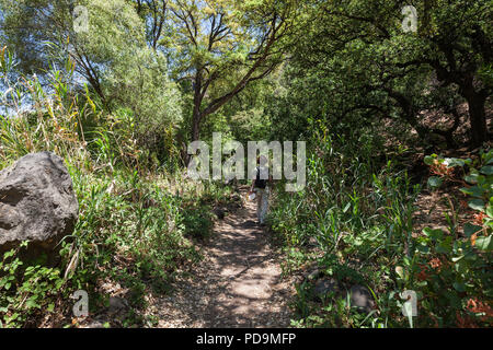Escursionista femmina sul sentiero escursionistico attraverso ance a Barranco de los Cernicalos, a Los Arenales, Gran Canaria Isole Canarie Foto Stock