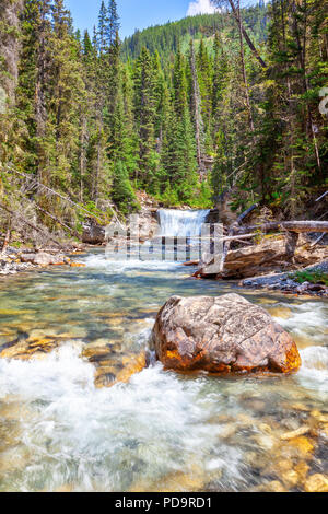 Cascate impetuose noto come stella cade fluisce nel Canyon Johnston creek a Banff National Park in Alberta, Canada. Canyon Johnston è un popolare hikin Foto Stock