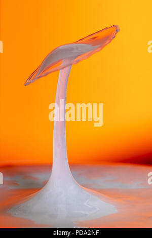 Fotografia Waterdrop creazione di arte splash Foto Stock