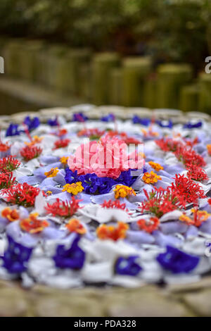 Una vista ravvicinata di un grazioso stile asiatico petalo di fiore disposizione galleggiante su di una piscina di acqua. Foto Stock