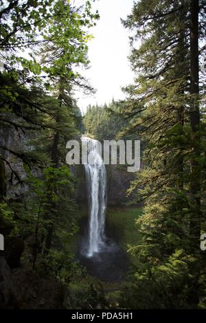 Salt Creek Falls, visto dal di sotto, a Willamette National Forest in Oregon, USA. Foto Stock