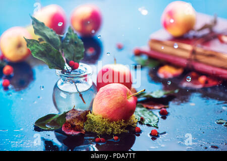 In autunno le mele ancora in vita. La raccolta autunnale la testata sotto la pioggia con gocce di acqua e copia dello spazio. Rosso piccolo ranet organico di mele con un vaso di vetro e caduta foglie Foto Stock