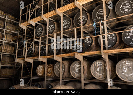 Springbank Distillery tormentati in magazzino pieno di maturazione botti di whisky, Campbeltown, Argyll and Bute, Scotland, Regno Unito Foto Stock