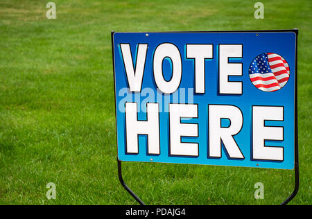 Elezione patriottica segno di voto su erba verde Foto Stock