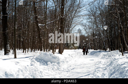UFA, Russia 29marzo 2018 - Due donne anziane camminare insieme anche se una pista forestale in una neve riempito country park ammirare il paesaggio durante il w Foto Stock
