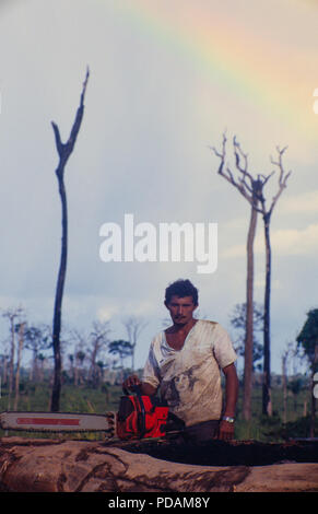 Registrazione, la foresta pluviale amazzonica gioco, lavoratori abbattere gli alberi utilizzando una motosega in un ridotto-e-bruciato patch di foresta. Acre, Brasile. Foto Stock