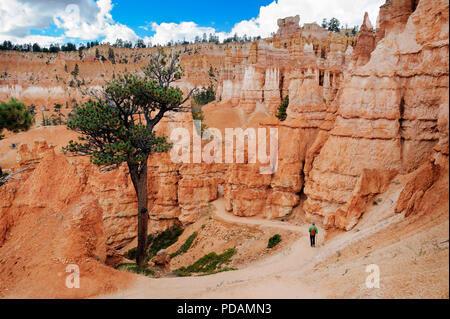 Escursionista solitario camminando sul Queens Garden Trail, Parco Nazionale di Bryce Canyon, Utah. Foto Stock