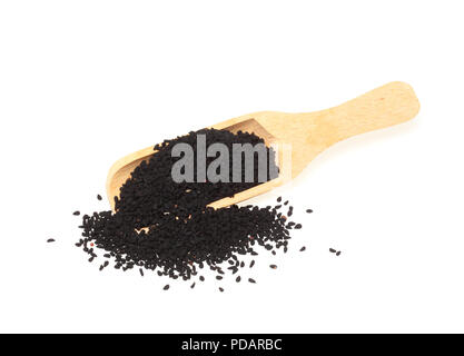 Pianta medicinale Nigella sativa, cumino nero, anche noto come cumino nero, nigella Foto Stock