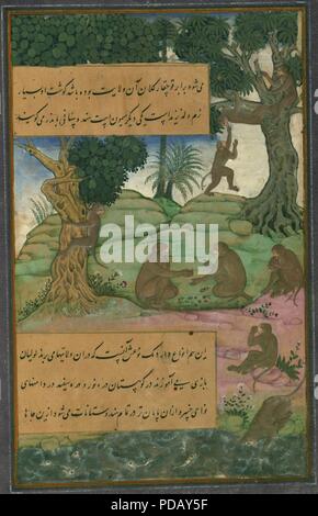 Animali di Hindustan scimmie chiamato bandar che può essere insegnato a fare i trucchi, dal manoscritto illuminato Baburnama (memorie di Babur). Foto Stock