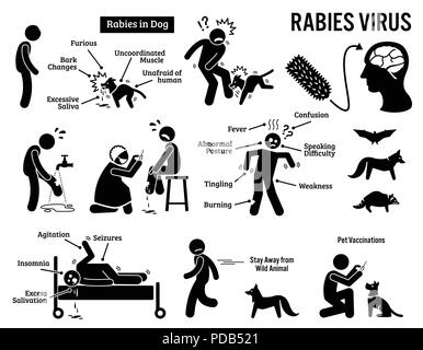 Il virus della rabbia in campo umano e animale Stick figura il pittogramma icone Illustrazione Vettoriale