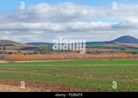 Montagne Drakensberg, Kwazulu Natal, Sud Africa Foto Stock