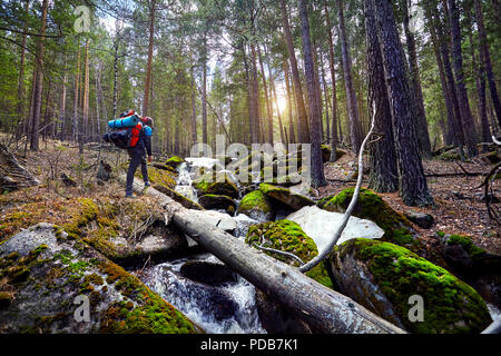 Escursionista in con grande zaino per raggiungere a piedi la bellissima foresta in Karkaraly parco nazionale in Kazakistan centrale Foto Stock