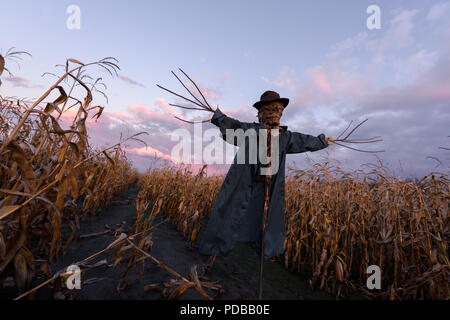 Scary spaventapasseri in un cappello Foto Stock