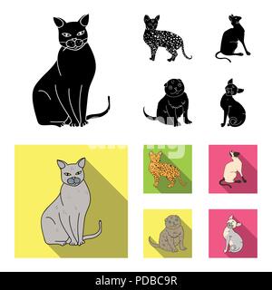 Siamesi e altre specie. Razze di gatti set di icone di raccolta in nero, piatto stile simbolo vettore illustrazione stock . Illustrazione Vettoriale