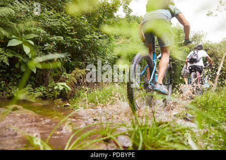 L'uomo mountain bike, schizzi sul sentiero fangoso Foto Stock